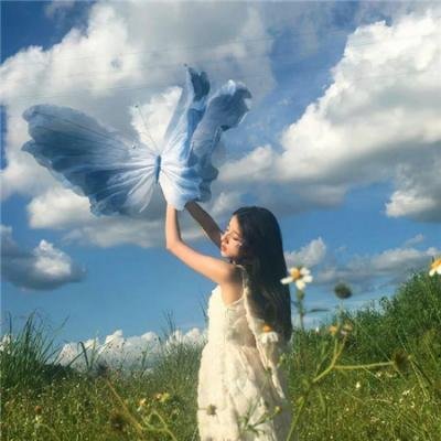 风云维新大将军